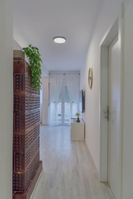 Apartman Scala Zadar Ngoại thất bức ảnh
